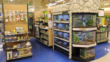 US market for “other pets” booming