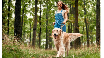 New breed of support