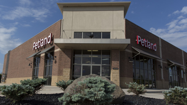 Franchisees around the world: Petland now operates in eight countries.