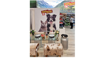 New conceptual worlds