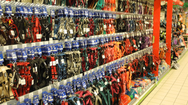 “Up to 70 new stores in 2025”