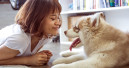 300 mio pets in Europe