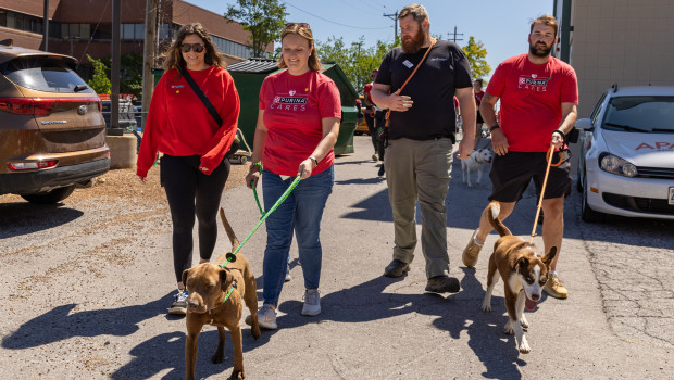 Several thousand Purina employees from 34 locations volunteered in various US cities, helping to meet the needs of their communities.