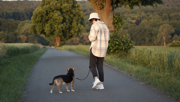 According to the report, the greatest improvements were seen in digestion, with improved stool health observed in 42.3% of dogs that underwent multiple health checks.