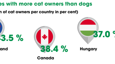 "The pet food market is different"