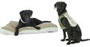 Scruffs Insect Shield dog beds & apparel