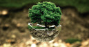 WPA Good Works grant for environmental initiatives