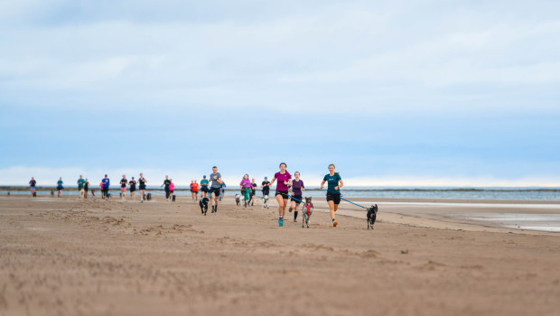 Connect & Paws is the name of a wellness weekend dedicated to strengthening the bond between dogs and their owners through shared experiences and new activities.