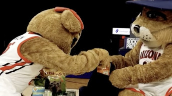 Friskies to donate 73,000 meals to cat shelter