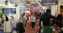 Figures reflect Bologna success