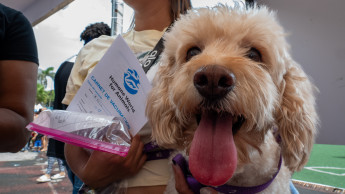 Humane World for Animals opens pop-up veterinary clinics