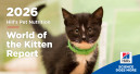Hills releases World of the Kitten Report