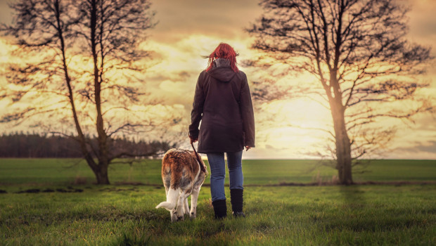 Pet owning in Europe remains at a high level. Photo: Pixabay, Seaq68