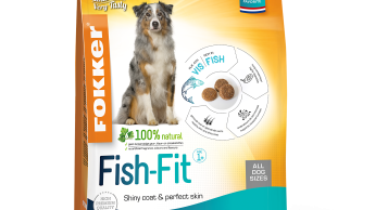 Fokker Fish-Fit 