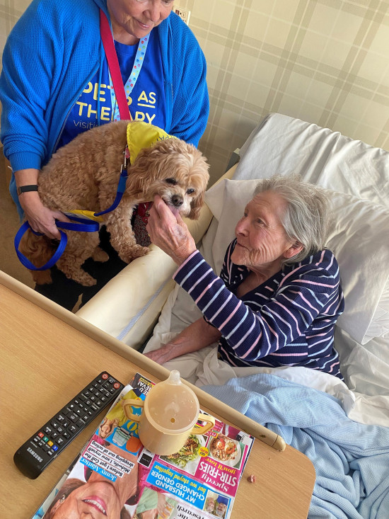 Pets As Therapy offerstherapeutic pet visits toestablishments such ascare homes, hospitals,hospices, schools andprisons.