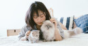 European pet market continues to grow