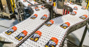 Kormotech reports significant sales growth