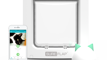 Say meow to the world's first app-enabled pet door 