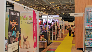 Pet products beneath the Eiffel Tower