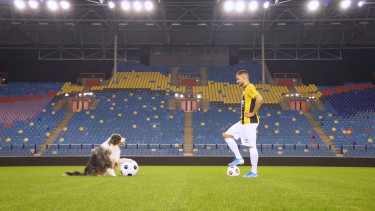 A social media hit by Prins and Vitesse