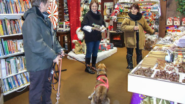 Companies recommended by customers