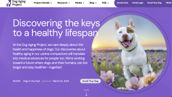 CBD supplements could make dogs less aggressive