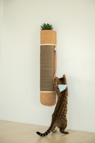 Scandi style, sustainable furniture for cats