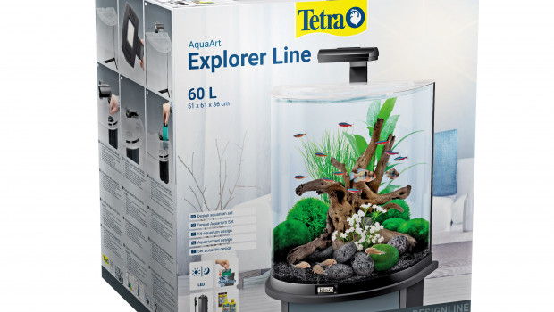 Tetra,  half-moon Aquarium, Explorer Line Aquarium
