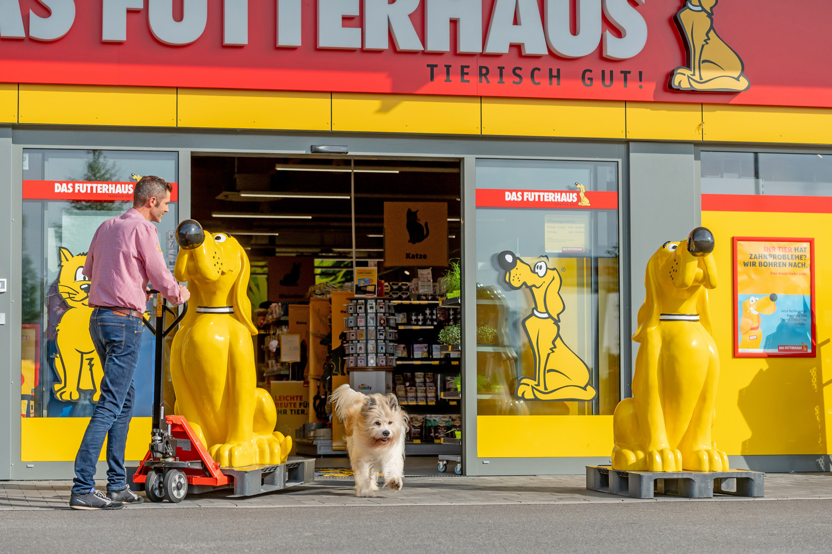 Das Futterhaus grows by 15.2 per ce... petworldwide
