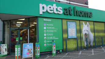 “A pivotal year for the business”