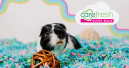 Carefresh launches its ‘Gives Back’ initiative