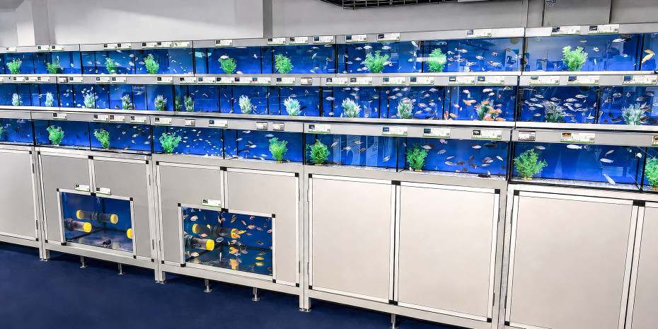 The new installation at Maidenhead Aquatics in Portslade. The new installation at Maidenhead Aquatics in Portslade.