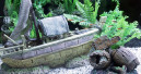 Ornamental products for amazing aquariums