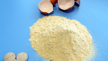 NEM, innovative natural joint health ingredient for animal companions