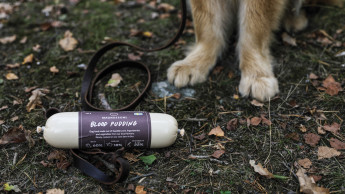 Magnusson Petfood: Black pudding as wet food for dogs Magnusson Petfood: Black pudding as wet food for dogs