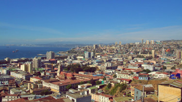 Chilean pet food market is undergoing a transformation