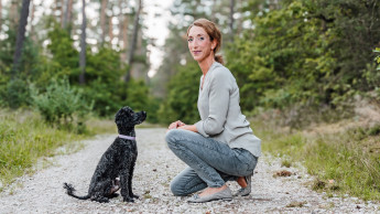 What makes Germany’s dog owners tick