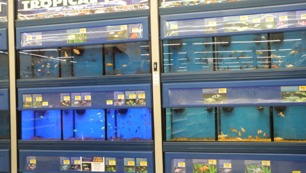 Walmart stores Walmart stores