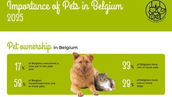 Pet trends 2025: insights from Belgium and Europe