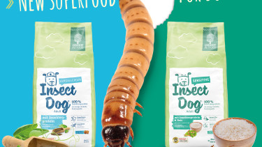 New superfood for dogs!