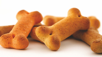 Symrise achieves organic sales growth in Q3 2025