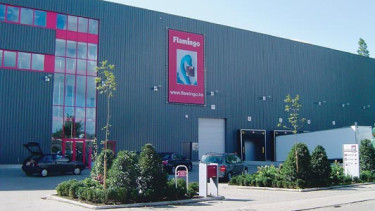 Flamingo spreads its wings