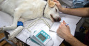 PetSmart opens first veterinary hospital