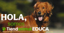 Tiendanimal offers workshops for primary schools again