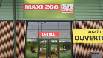 Maxi Zoo announces new stores