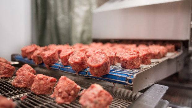 In Sweden, there are currently around 15 established approved factories for the production of raw pet food. In Sweden, there are currently around 15 established approved factories for the production of raw pet food.