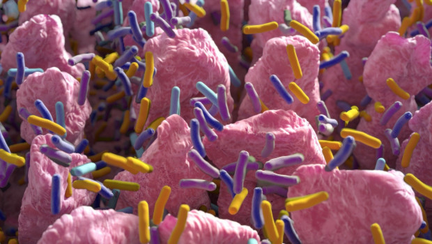 The latest scientific findings highlight the crucial role of the gut-brain axis and the responsible use of antibiotics in maintaining a healthy microbiome.