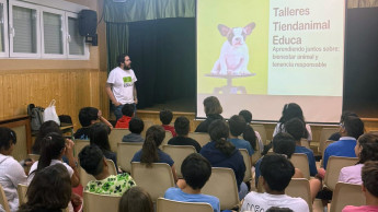 Tiendanimal resumes animal welfare education Tiendanimal resumes animal welfare education