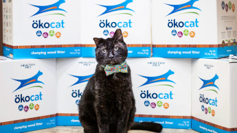 Ökocat supports animal shelters and rescue organizations