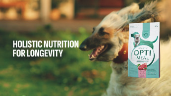 Optimeal holistic commercial wins Red Dot Award